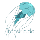 logo du site translucide - lien vers l'accueil