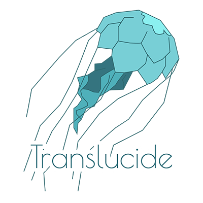 logo Translucide